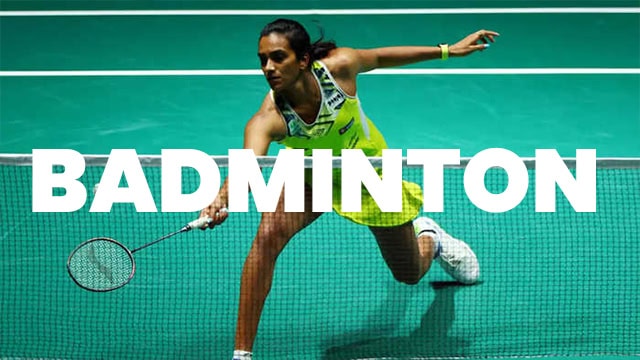 Badminton Sports