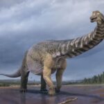 क्या आप जानते हैं