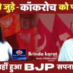 हमारी पार्टी जमीन से जुड़ी है जो कभी ख्तम नहीं हो सकती और हम काकरोच को भी पहचानते हैं