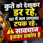 कुते को देखकर डर रहे, घर में नल लगातार टपक रहे सावधान इसको प्रकोप है